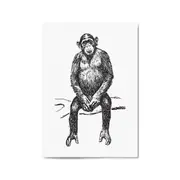 Monkey Drawing Animal Jungle Wall Art