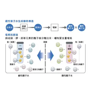 Panasonic國際牌電解水機專用濾芯TK-AS43C1(已停產，改用TK-AS46C1替代)