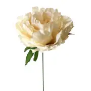 Artificial Silk Large Single Head Peony Flower Stem - Champagne