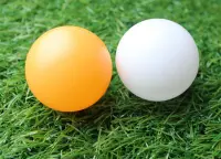 在飛比找Yahoo!奇摩拍賣優惠-PE材質40mm白色黃色抽獎球摸彩球彩球摸彩用活動用反應訓練