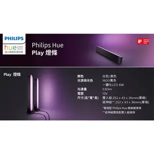 飛利浦 PHILIPS Hue智慧照明系列 PH010 全彩情境 Hue Play燈條雙入組