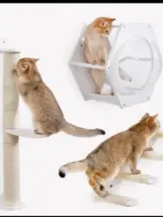Cat wall mount jungle, Set. CAT WALL TREE.(1) INCUBATOR SHELF ,BUBBLE WINDOW