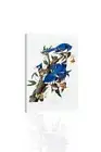 Blue Jay, Audubon - CANVAS OR PRINT WALL ART