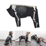 Pet Halloweens Costume Skeletons Hoodies Four Legs Dog Clothes Festival