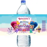 (10) Personalized SHIMMER & SHINE Water Bottle Labels, Party Favors, 2 Sizes