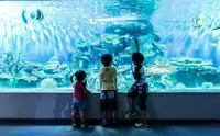 在飛比找KLOOK 客路優惠-東京品川水族館門票