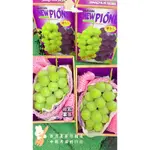 日本麝香葡萄2房禮盒限時特價