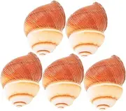 5Pcs Natural Snail Shells for Escargot Serving Heat Insulation Snail Shells Ideal for Restaurants and Home Cooking Authentic French Escargot Shells