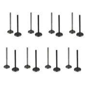 Exhaust & Intake Valves For GM 2.0 2.2 2.4 ECOTEC DOHC Chevrolet Pontiac 16PCS
