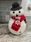 Pottery Barn Archie The Snowman Shaped Pillow New With Tags
