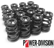 GSC P-D Fits Subaru EJ Single Conical Valve Spring Titanium Retainer & Spring Se
