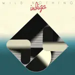 黑膠唱片WILD NOTHING - INDIGO LP