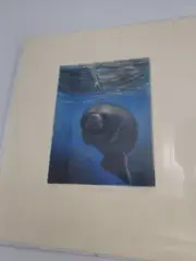 Liza Jones Man And Manatee Art Etching 7/100