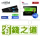 ☆自動省★ 美光 DDR5-5600 16G*2 記憶體(X2)+威剛 SU650 240G SSD(X4)