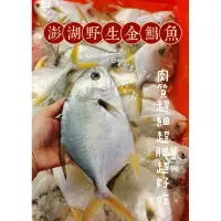 在飛比找蝦皮購物優惠-【黑貓媽媽】野生的❗️澎湖野生金鯧魚 澎湖金鯧 鯧魚 澎湖海