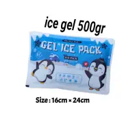 在飛比找蝦皮購物優惠-Ice Gel Besar 500GR 冰袋 Jumbo 1