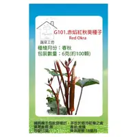 在飛比找momo購物網優惠-【蔬菜工坊】G101.赤焰紅秋葵種子(6克-約100顆)