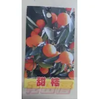 在飛比找蝦皮購物優惠-水果苗  日本甜桔  1尺盆高60-90cm皮薄香甜【花田厝