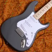 Paul Reed Smith PRS SE Silver Sky Overland Gray