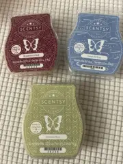 Scentsy Amazon Rain, Sleigh All Day And Breakfast In Bed Wax Bars Lot Of 3~ NEW