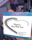 bayberry goat milk soap