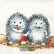 "New" 3 Paper Napkins for Decoupage/Scrapbooking/Craft-Little Hedgehog