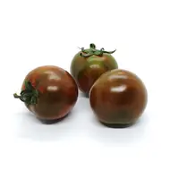 在飛比找蝦皮購物優惠-黑王子番茄種子~~Black Prince Tomato~少