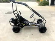 200cc 6.5HP Go Kart Wet Clutch Dune Buggy ATV Quad 4 Stroke Top Roll Cage Teen