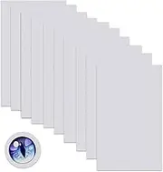 10PCS Fursuit Eye Plastic Mesh,Plastic Mesh Sheet,Fursuit Eye Mesh,Buckram,White Mesh,Sew in Net,Plastic Canvas Sheets,Mesh Fabric,Mesh Mask Needlepoint Canvas,Waterproof Printable Eye Net for Cosplay