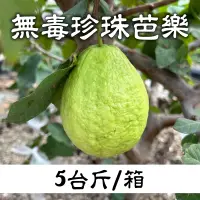 在飛比找台灣好農優惠-【有雞有鴨百果園】無毒珍珠芭樂(5台斤/箱)