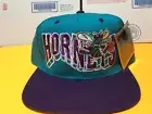 VINTAGE CHARLOTTE HORNETS G CAP SNAPBACK NWT NICE!!!!!