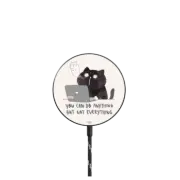 Magnetic Wireless Charger You can do anything but not everything