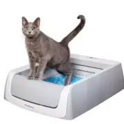 PetSafe ScoopFree Self-Cleaning Litter Box, Second Generation