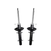 2x Front Roadsafe STR Sealed Strut Shocks for Volkswagen Golf MK4 Beetle 9C Bora