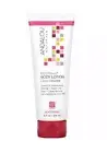 Andalou Naturals 1000 ROSES Fruit Stem Cell SOOTHING Body Lotion ULTRA HYDRATING