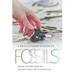 A BEACHCOMBER’’S GUIDE TO FOSSILS