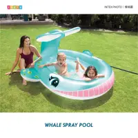 在飛比找momo購物網優惠-【INTEX】Vencedor 鯨魚噴水泳池 充氣游泳池(家