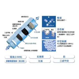 Panasonic國際牌電解水機專用濾芯TK-AS43C1(已停產，改用TK-AS46C1替代)