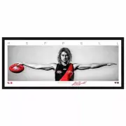 DYSON HEPPELL ESSENDON BOMBERS SIGNED FRAMED POSTER LLOYD HIRD AFL MEMORABILIA