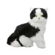 Bocchetta Plush Toys Angus Black White Piebald Fluffy Cat