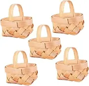 MINAOLULUS 5pcs Mini Woven Basket Picnic Baskets for Tiny Containers for Party Favors and Fairy Garden Decor Portable and Artisanal Craftsmanship