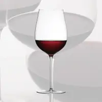 在飛比找momo購物網優惠-【WINEX】波爾多大酒杯(手工紅酒杯)