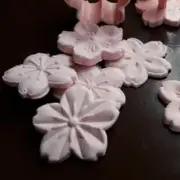 Baking Mold Home Kitchen Restaurant Cooking Bake Cookies Biscuits