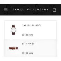 在飛比找蝦皮購物優惠-DW DAPPER BRISTOL/38MM