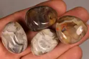 4 *CRAZY LACE AGATE* Tumbled Stones 58.2g 2-3cm Healing Crystals, Acceptance