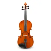 Samuel Eastman VL80 1/2 Beginner Violin
