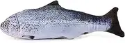 Cat Fish Toys Silvervine Chew Toys with Catnip for Kittens, Interactive Indoor Catmint Dental Toy for Teeth Cleaning, 20×7×3.5cm (Salmon)