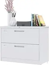 White 2 Drawer Vertical Metal Rolling File Cabinet with Lock Office and Home Storage Solution