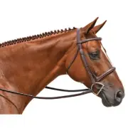 M. Toulouse Working Snaffle Hunter Bridle - Chocolate, Sizes: Cob/Full/XFull Hrs