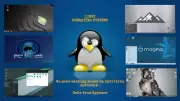 PC LINUX - Multi Pack 6 systems - 16 GB BOOTABLE USB ( Manjaro , Mint + More )